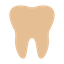 Teeth